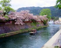 京都疎水　屋形船