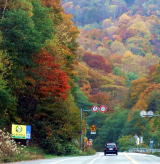 せせらぎ街道　2012