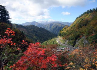 白山スーパー林道