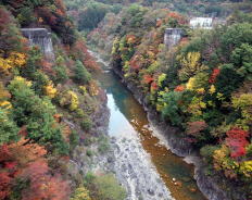 御嶽山　登山道の紅葉