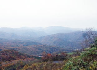 開田高原の秋